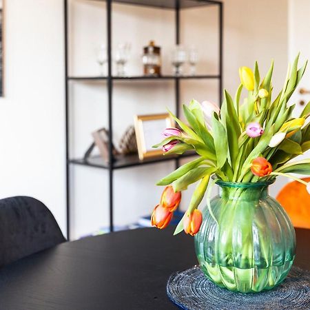 Silvie Apartments - Masaryk Olomouc Dış mekan fotoğraf