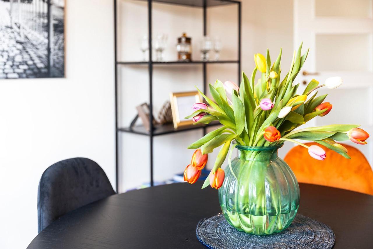 Silvie Apartments - Masaryk Olomouc Dış mekan fotoğraf